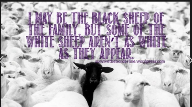black sheep of family