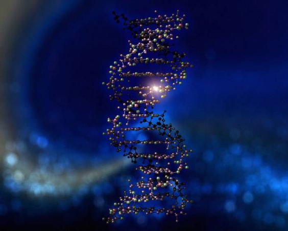 dna cosmic internet