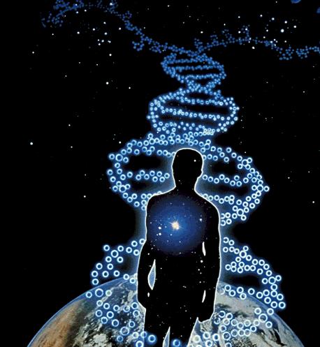 human dna