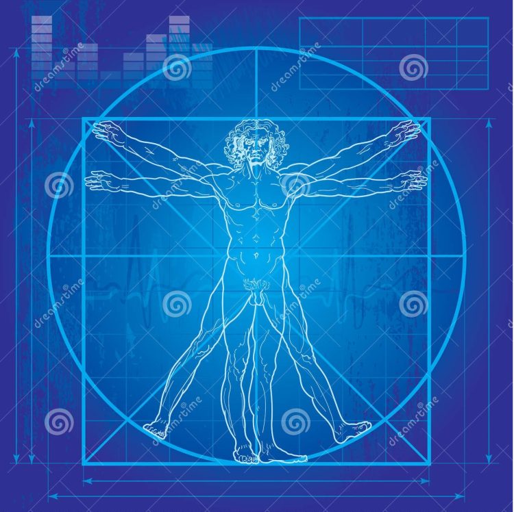 vitruvian man blueprint version 16533982